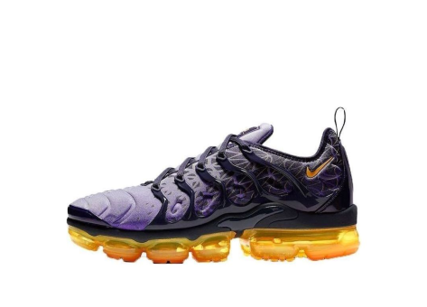 Nike Air VaporMax Plus (924453 406) bunt