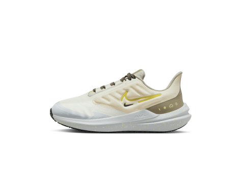 Nike Air Winflo 9 Shield (DM1104-100) braun