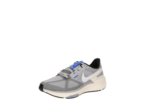 Nike Air Zoom Structure 25 (DJ7883-011) bunt