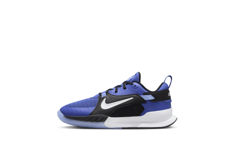 Nike Crosscourt (FN2231-400) blau