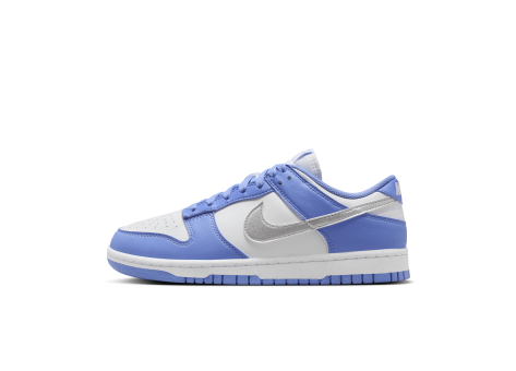 Nike Dunk Low Next Nature (DD1873-402) blau