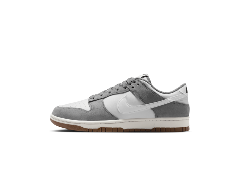 Nike Dunk Low Retro SE (IB6399-001) bunt