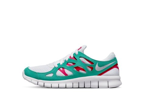 Nike Free Run 2 (DR9877-100) bunt