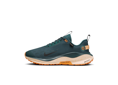 Nike Infinity Run 4 GORE TEX (FB2204-300) grün