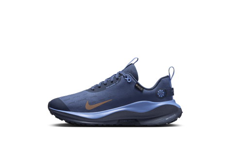 Nike InfinityRN 4 GORE TEX (HQ0264-401) blau