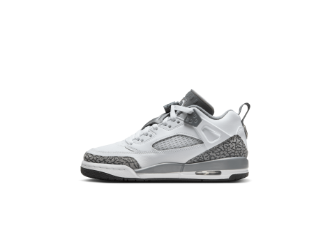 Jordan Spizike Low (FQ3950-102) weiss