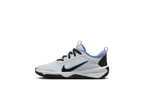 Nike Omni Multi Court (DM9027-009) grau