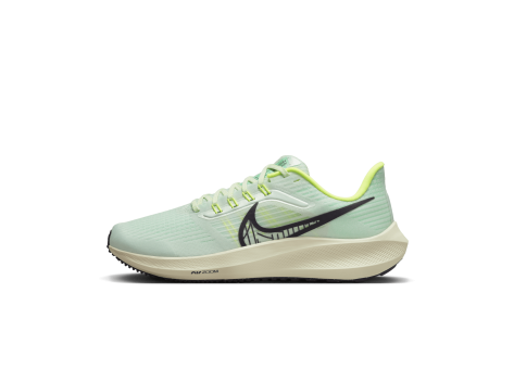 Nike Air Zoom Pegasus 39 (dh4072-301) grün