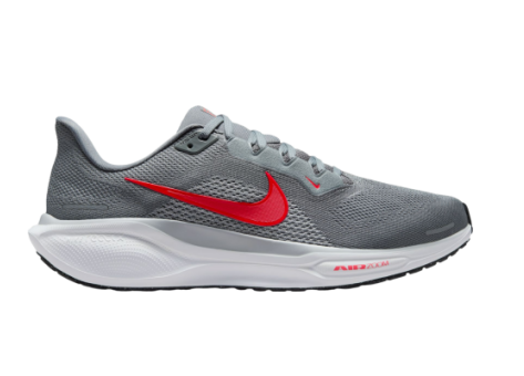 Nike Air Zoom Pegasus 41 (FD2722-013) grau