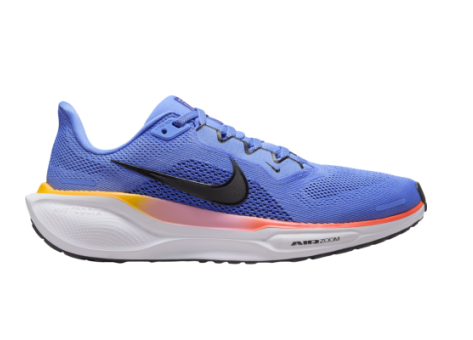 Nike Pegasus 41 (FD2723-402) blau