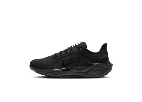 Nike Pegasus 41 GORE TEX (FQ1356-001) schwarz