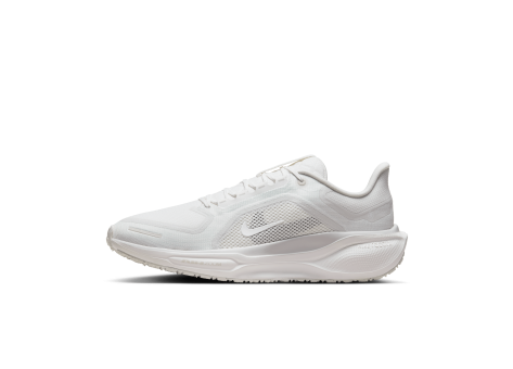 Nike Pegasus 41 GORE TEX (FQ1356-101) weiss