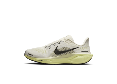 Nike Pegasus 41 Stra (FD2722-109) braun