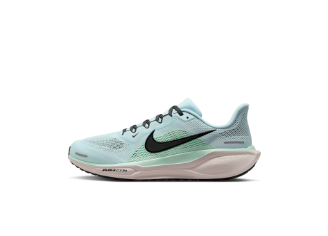 Nike Pegasus 41 Air Zoom (FD2722-406) blau