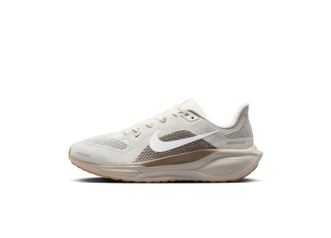 Nike Pegasus 41 Stra (FD2723-008) grau