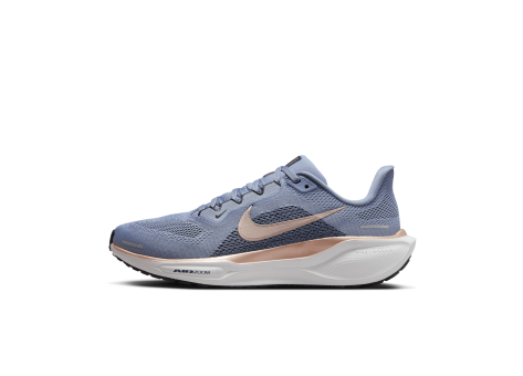 Nike Pegasus 41 (FD2723-403) blau