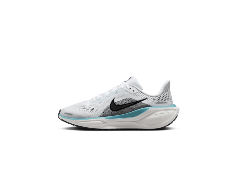 Nike Pegasus 41 (FN5041-103) weiss