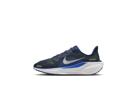 Nike Pegasus 41 (FN5041-400) blau