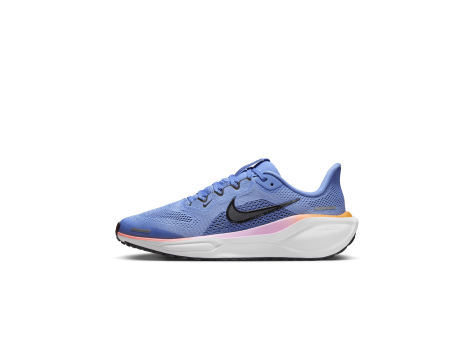 Nike Pegasus 41 (FN5041-403) blau