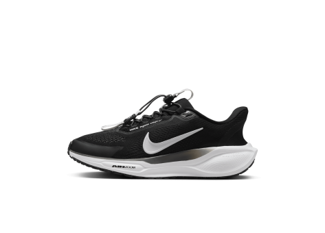 Nike Pegasus EasyOn Stra (FQ7844-002) schwarz