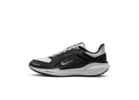 Nike Pegasus 41 GTX Air GORE TEX (FQ1357-002) schwarz