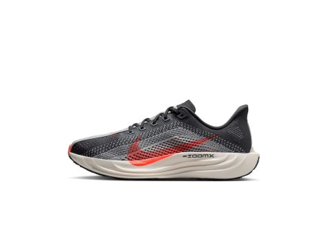 Nike Pegasus Plus Zoomx Anthracite Light Smoke Grey Phantom Bright Crimson (FQ7262-007) bunt