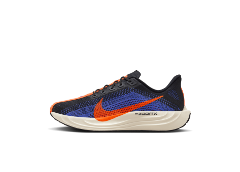 Nike Pegasus Plus (FQ7262-008) bunt