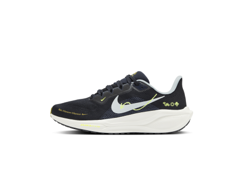 Nike Pegasus 41 (HQ3452-041) schwarz