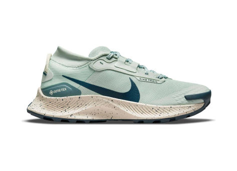 Nike Pegasus Trail 3 Gore Tex (DC8794-003) bunt