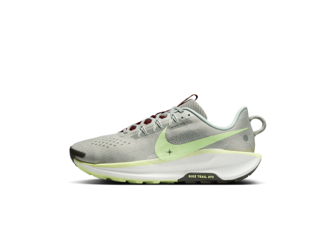 Nike Pegasus Trail 5 (DV3864-004) grau