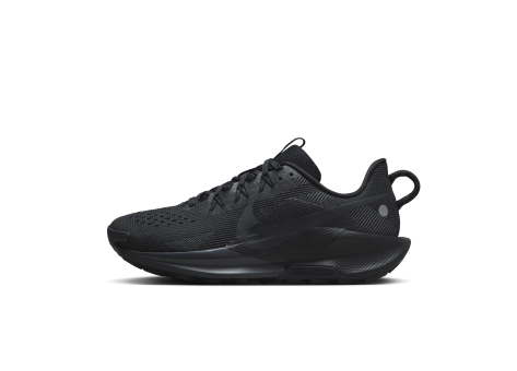 Nike Pegasus Trail 5 (DV3865-005) schwarz