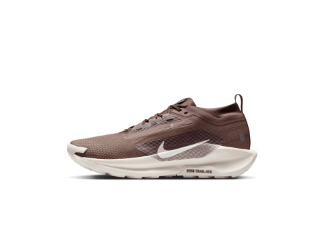 Nike Pegasus Trail Gore Tex SP Reactx 5 (HQ7494-200) braun