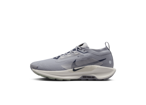 Nike Pegasus Trail 5 GORE TEX (FQ0908-006) grau