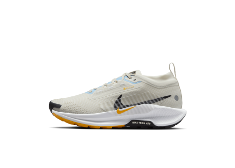 Nike Pegasus Trail 5 GORE TEX wasserfester (FQ0912-003) grau