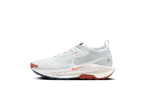 Nike Pegasus Trail 5 Gore TEX (FQ0912-007) weiss