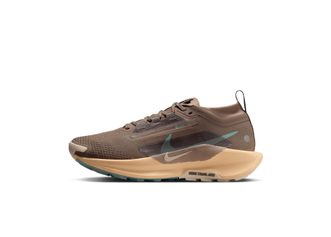 Nike Pegasus Trail 5 Gore TEX (FQ0912-200) braun