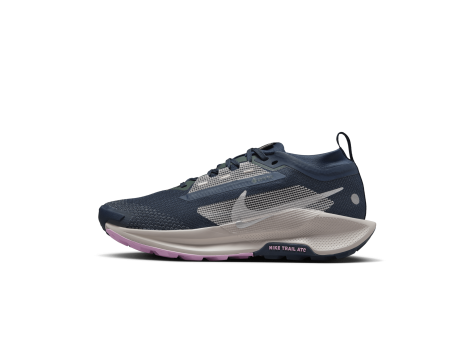 Nike Pegasus Trail 5 GORE TEX GTX (FQ0912-400) blau