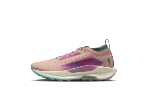 Nike Pegasus Trail 5 GORE TEX (FQ0912-600) pink