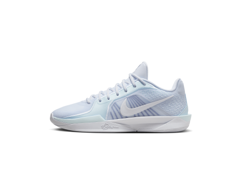 Nike Sabrina 2 (FQ2174 002) grau