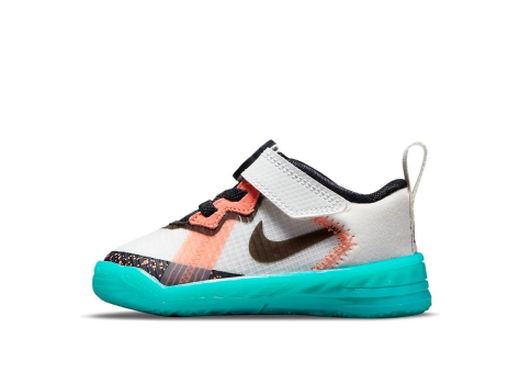 Nike Space Jam x LeBron 18 Low TD Summit (DJ3762-115) bunt