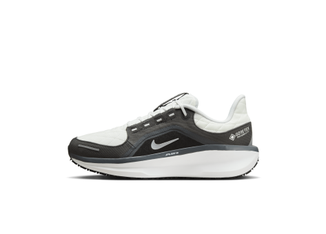 Nike Winflo 11 GORE TEX Air (FQ1358-004) grau