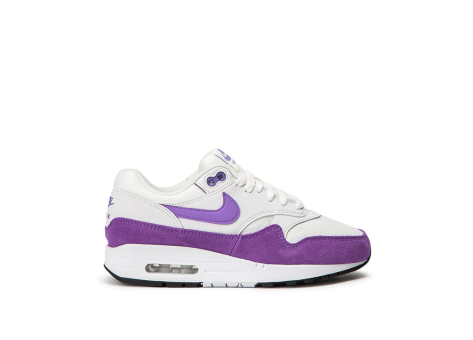 Nike Wmns Air Max 1 (319986-118) bunt