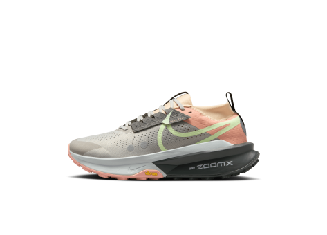 Nike Zegama Trail 2 (FD5190-007) grau