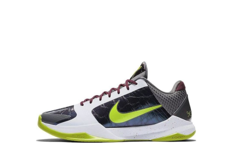 Nike Kobe 5 Protro Chaos (CD4991-100) bunt