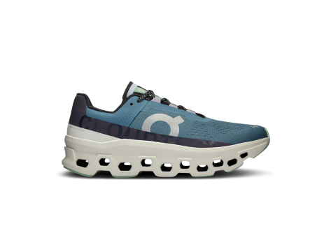 ON Cloudmonster (61.98084) bunt