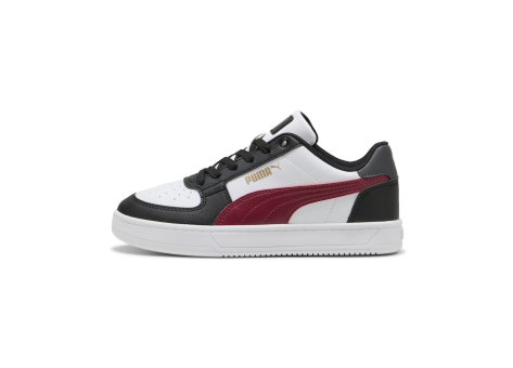 PUMA Caven 2.0 (393837_59) bunt