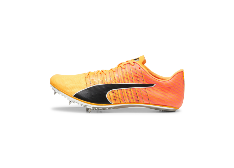 PUMA evoSPEED Brush 6 (380022_01) bunt