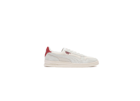 PUMA Indoor Mesh (398917/002) rot