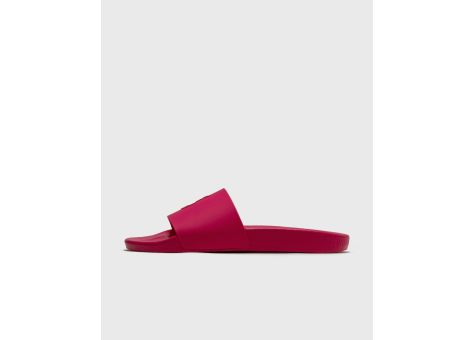 Ralph Lauren Polo Slide (809892945003) pink