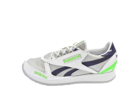 Reebok Victory G x Palace (PL-RB-VG-WG) bunt